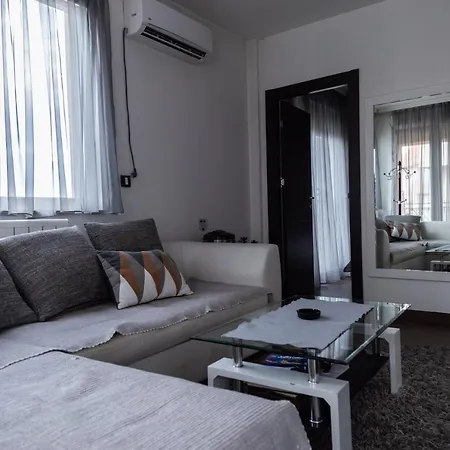 Apartment Vracar Historical Suites