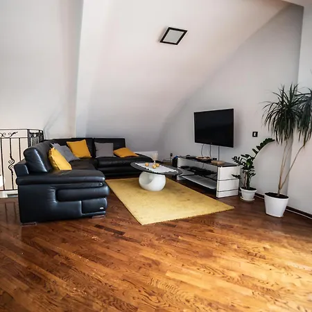 Apartment Vracar Historical Suites