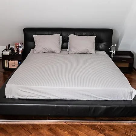Vracar Historical Suites Apartment *